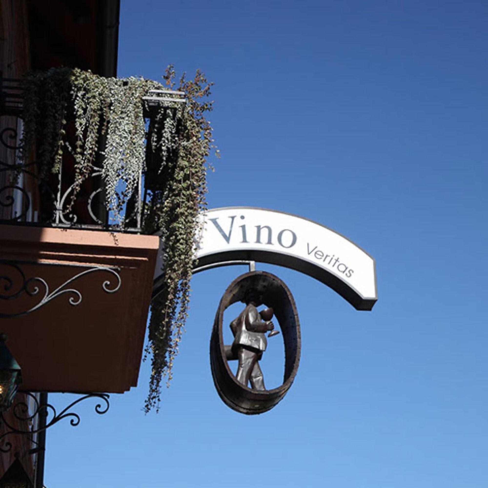 Appartements 'In Vino Veritas' ハスラッハ・イム・キンツィクタール エクステリア 写真